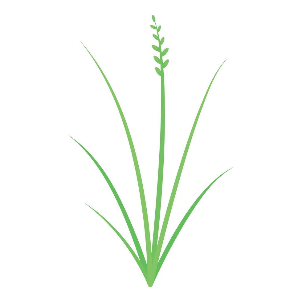 Green grass growing upwards with flower buds vector