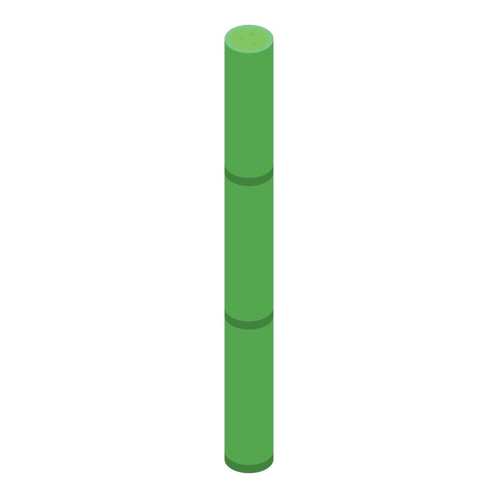 Single bamboo stick growing in isometric view vector