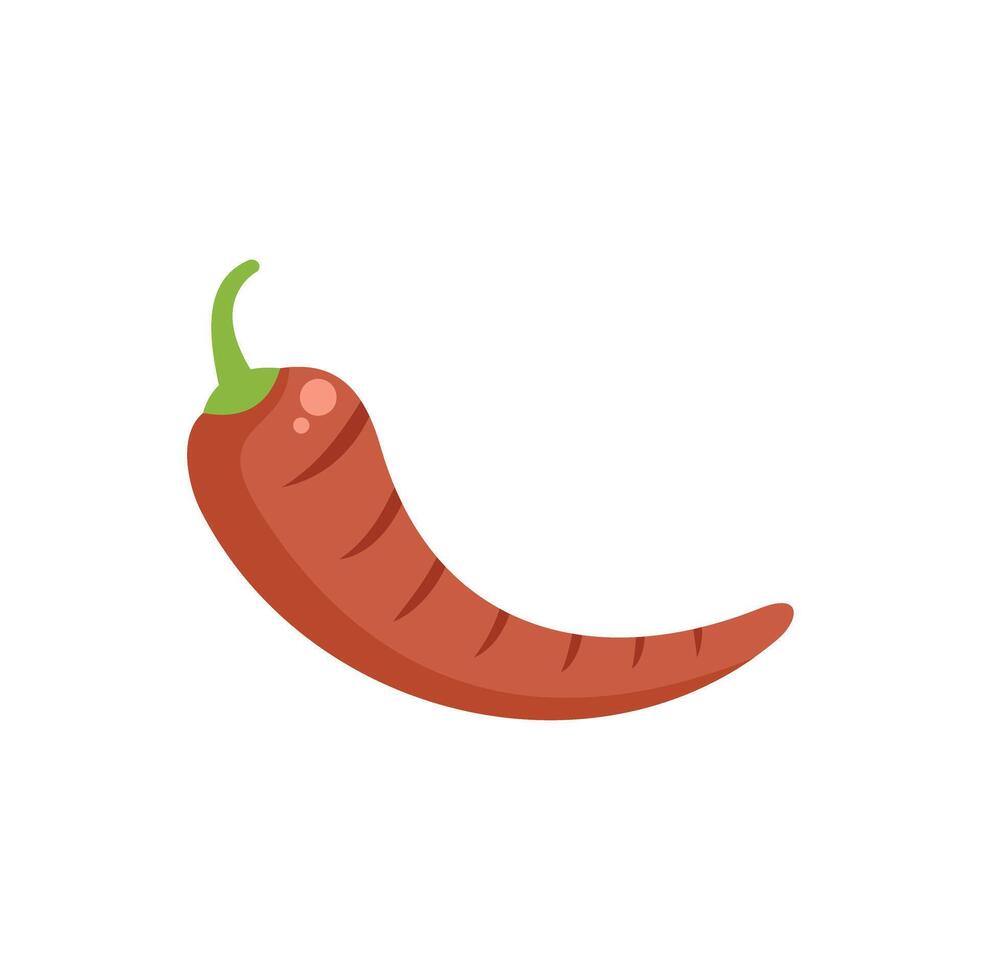Grilled red chilli pepper lying horizontally vector