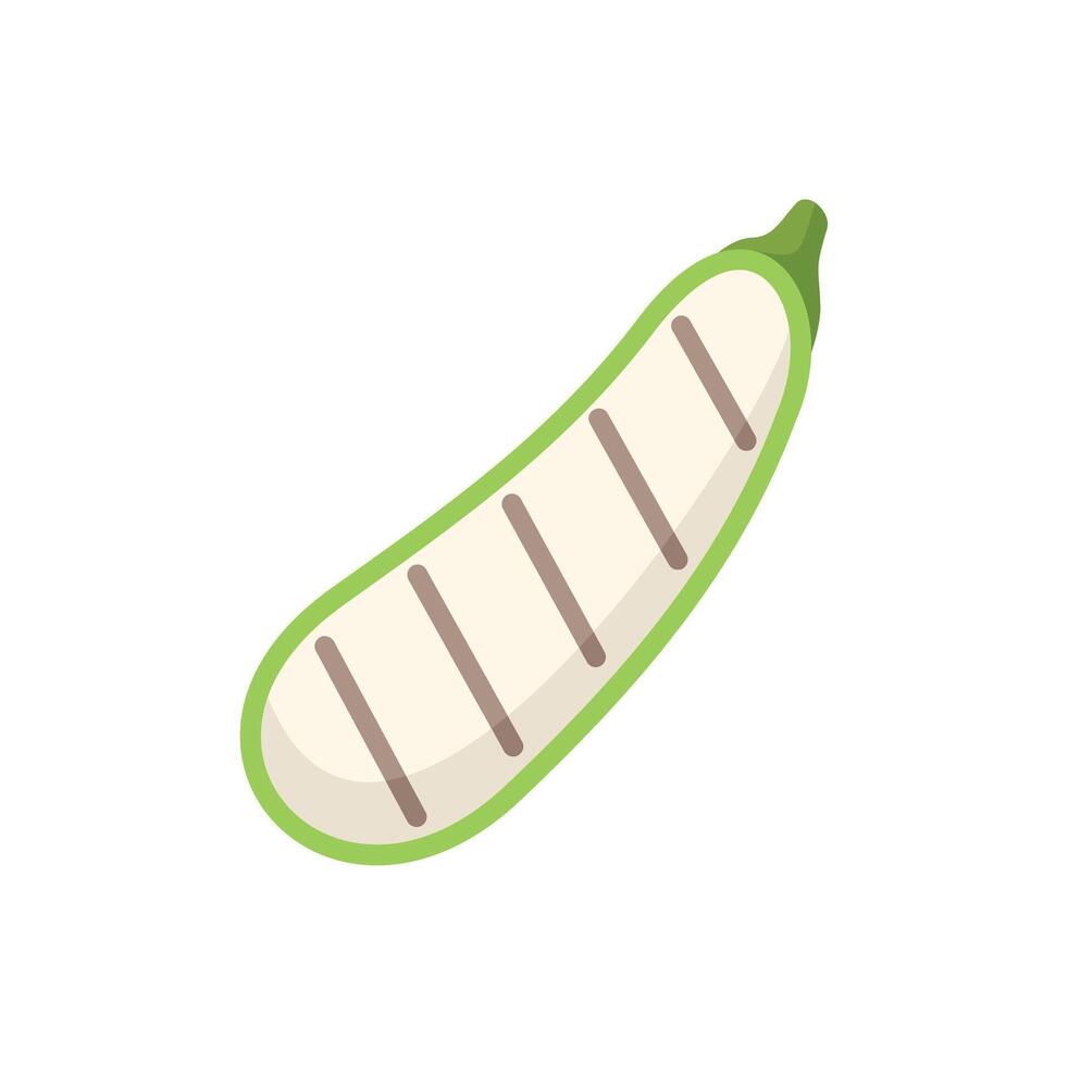 Grilled zucchini courgette showing grilling marks icon vector