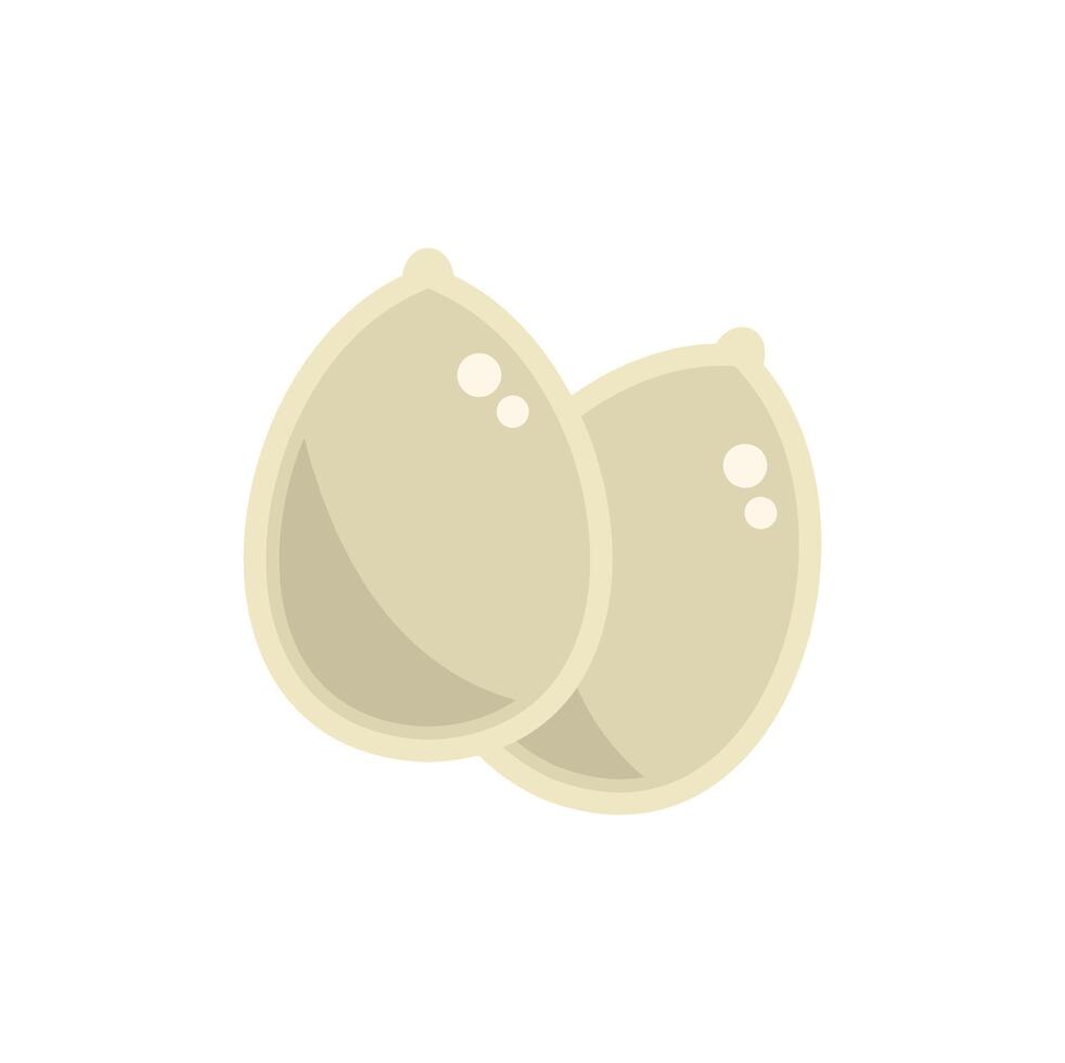 Two whole coconuts lying next to each other vector
