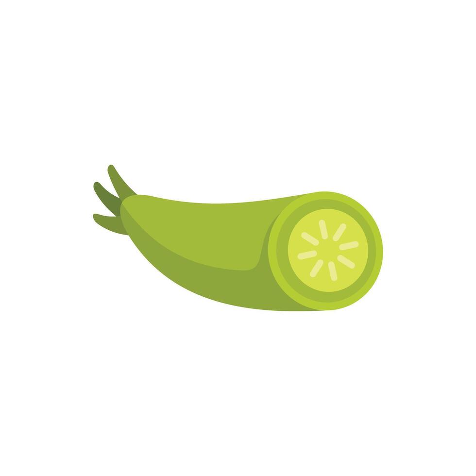 Fresh zucchini showing cross section with seeds vector