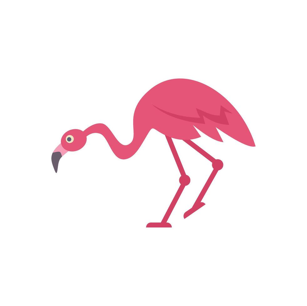 Pink flamingo walking gracefully with its head down vector