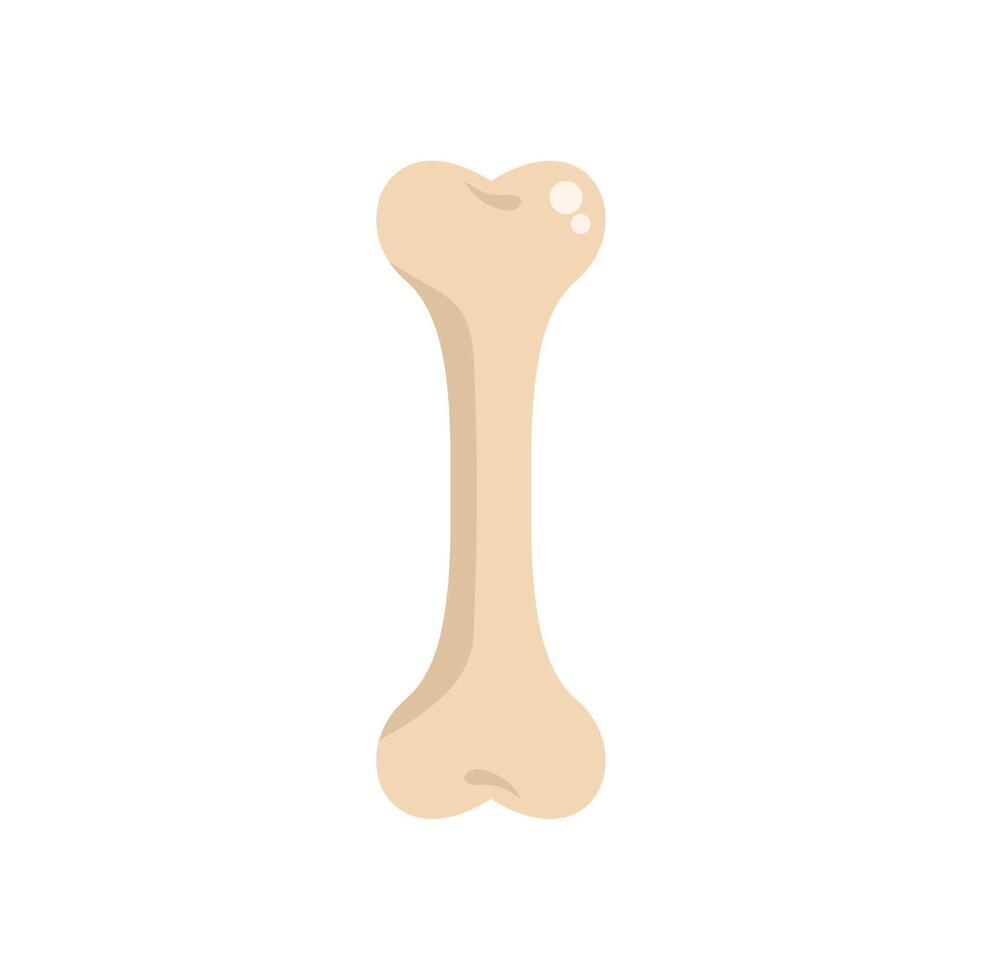 Cartoon dog bone standing up on white background vector