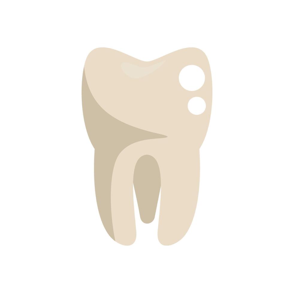 Single clean tooth showing filling on white background vector