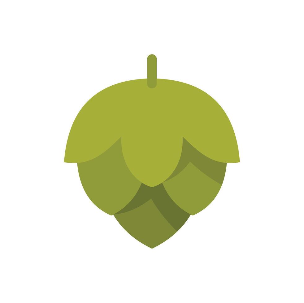 Green hop growing for brewing beer ingredient vector