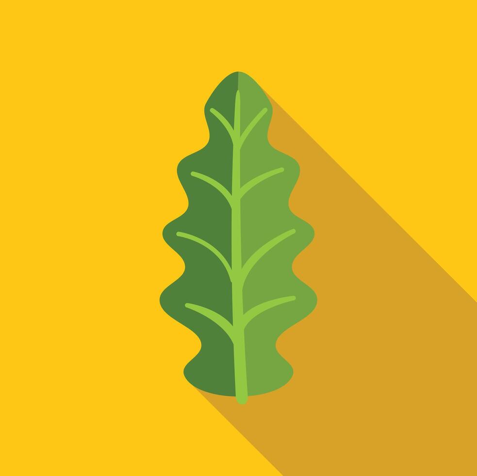 Green salad leaf on yellow background with long shadow vector