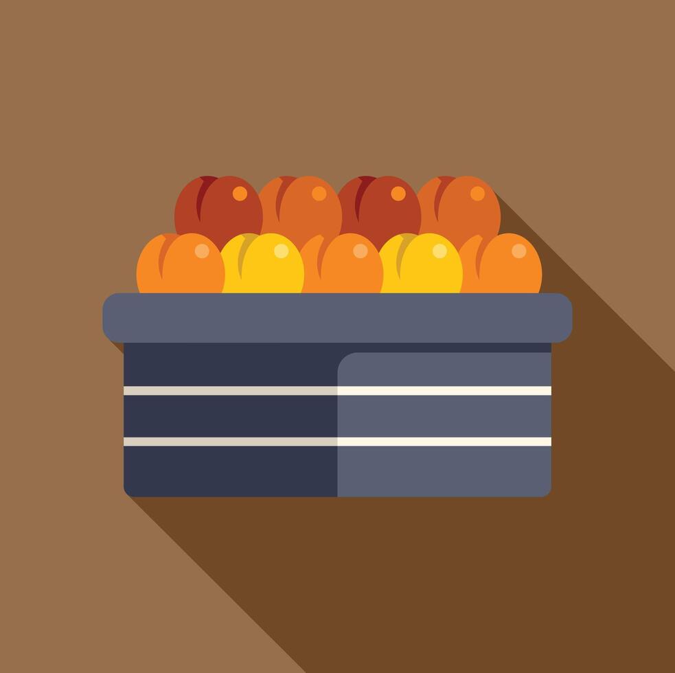 Fresh apricots and peaches overflowing in a basket at the farmers market vector