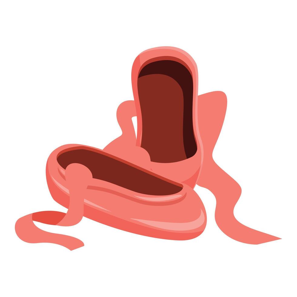 Ballet shoes laying on floor with ribbons untapped vector