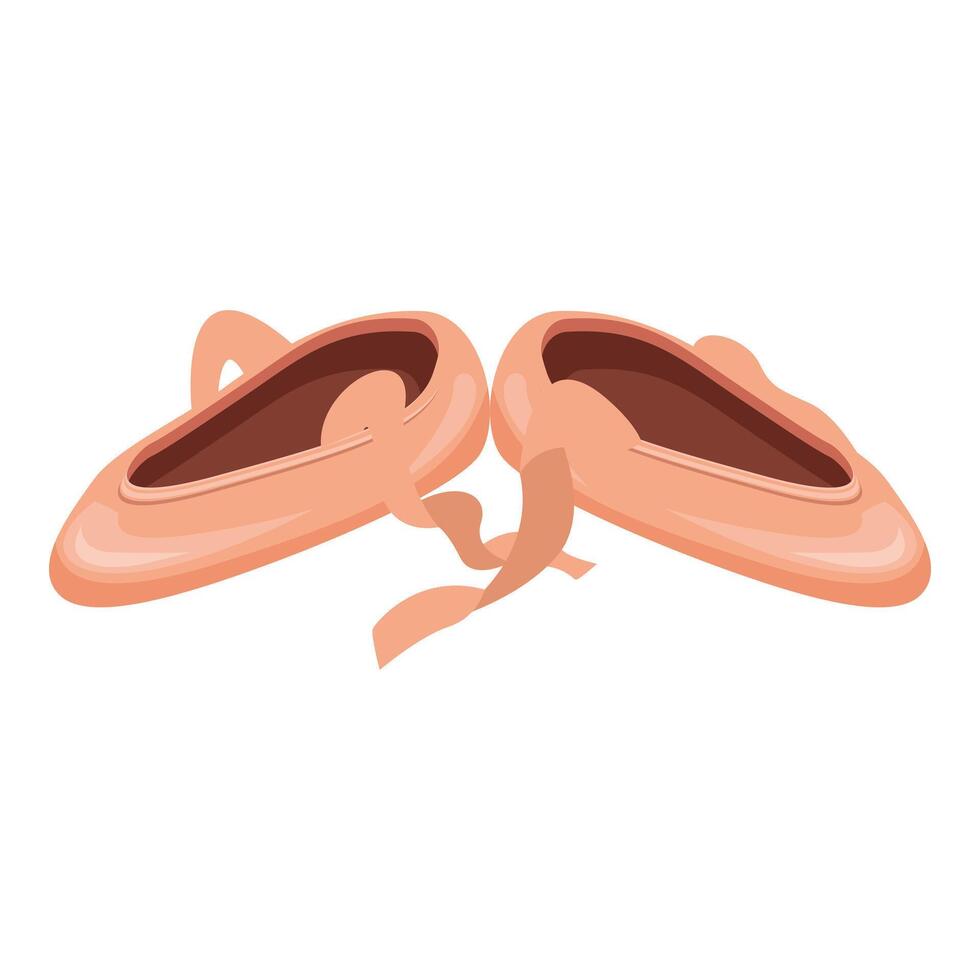 Pair of ballet shoes with satin ribbons lying crossed over each other vector