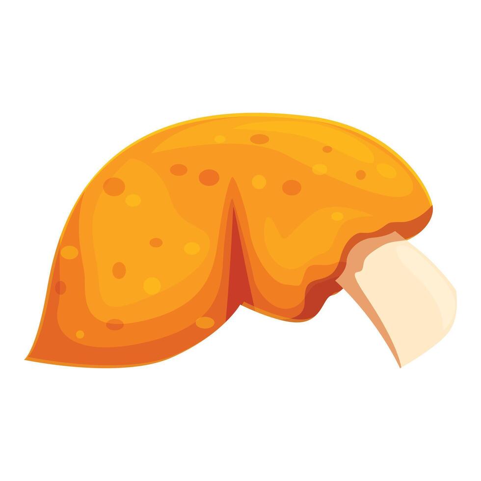 Single bright orange chanterelle mushroom growing wild vector