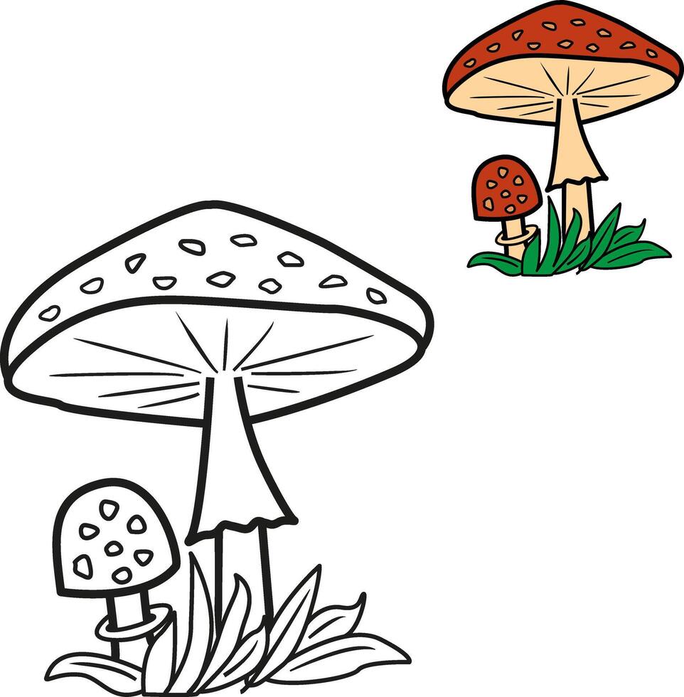 Cartoon fly agaric for kids coloring book. Illustration of fly agaric mushrooms growing in the grass vector