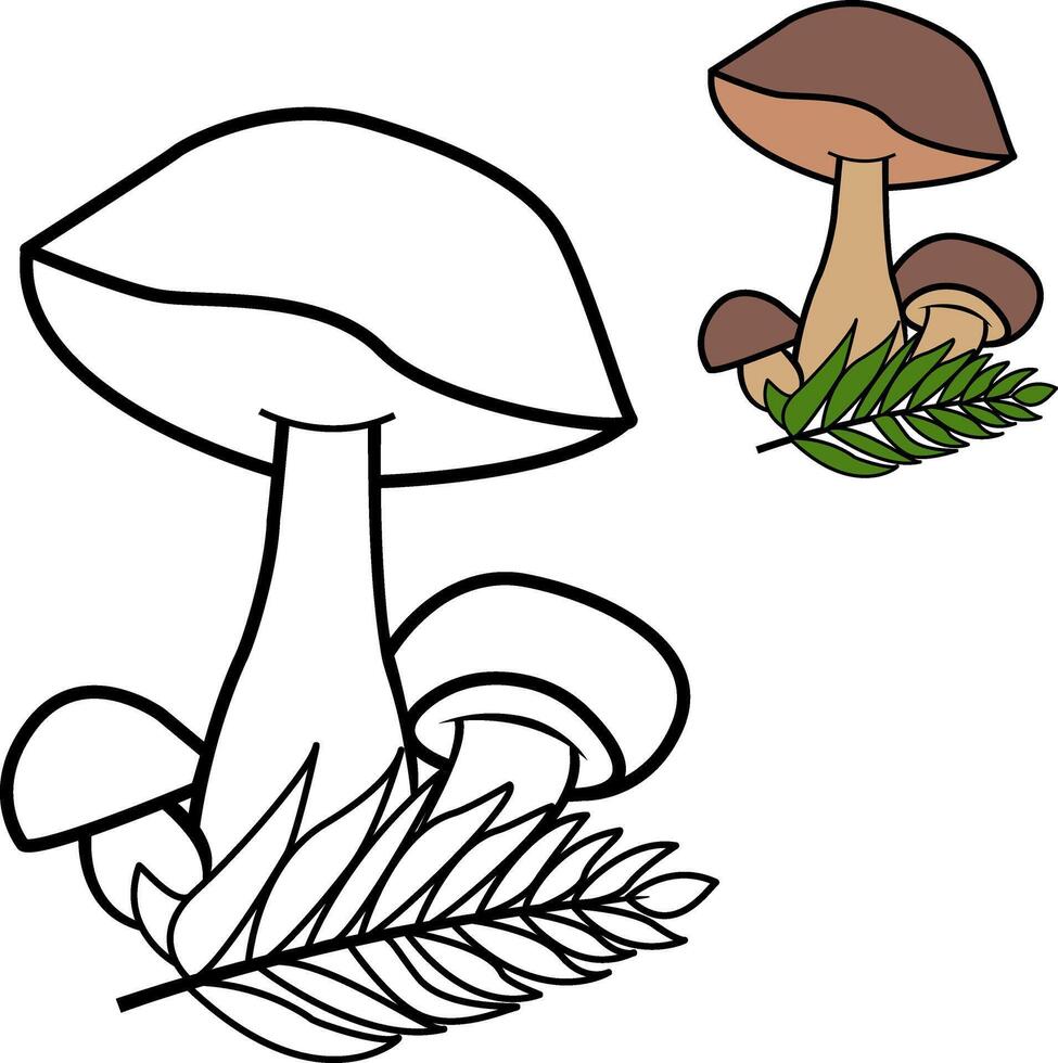 White mushrooms for kid's coloring book. Illustration of porcini mushrooms growing in leaves vector