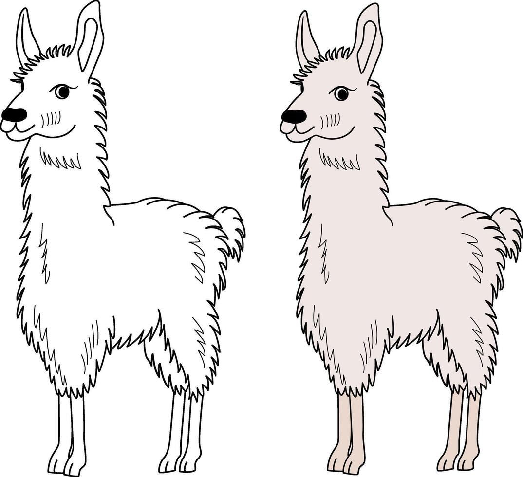 Cute cartoon llama for kid's coloring book. Illustration of hand drawn alpaca vector