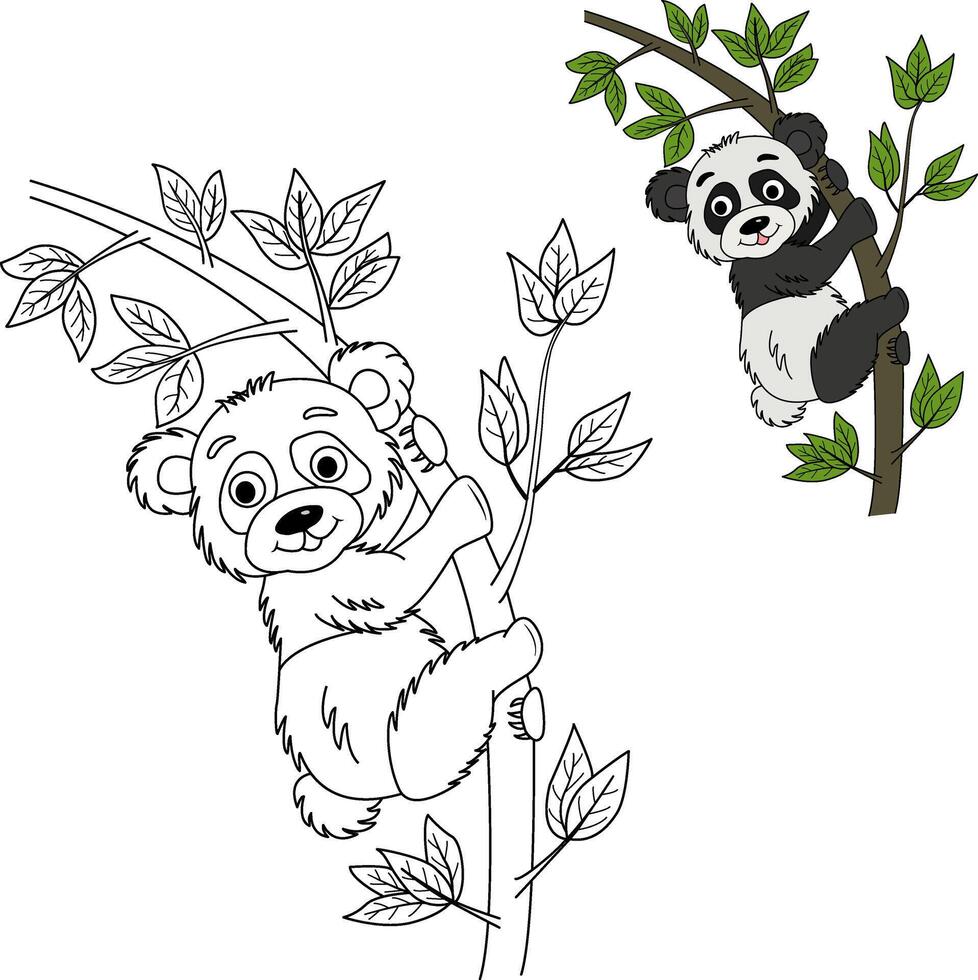 Coloring book for kids panda on a branch and a flower vector