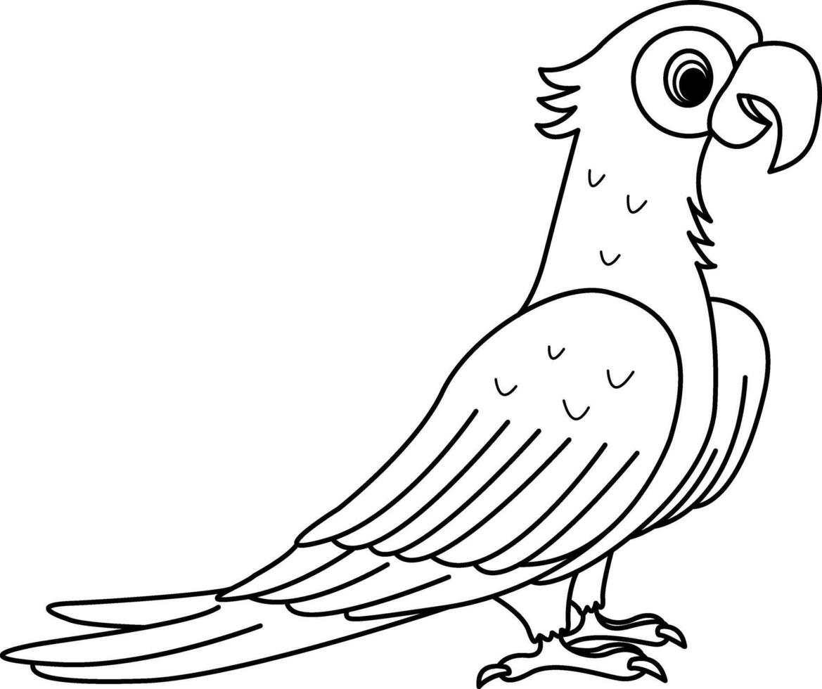 Funny Cartoon Parrot for Coloring Page. Illustration Tropical Bird Parrot vector