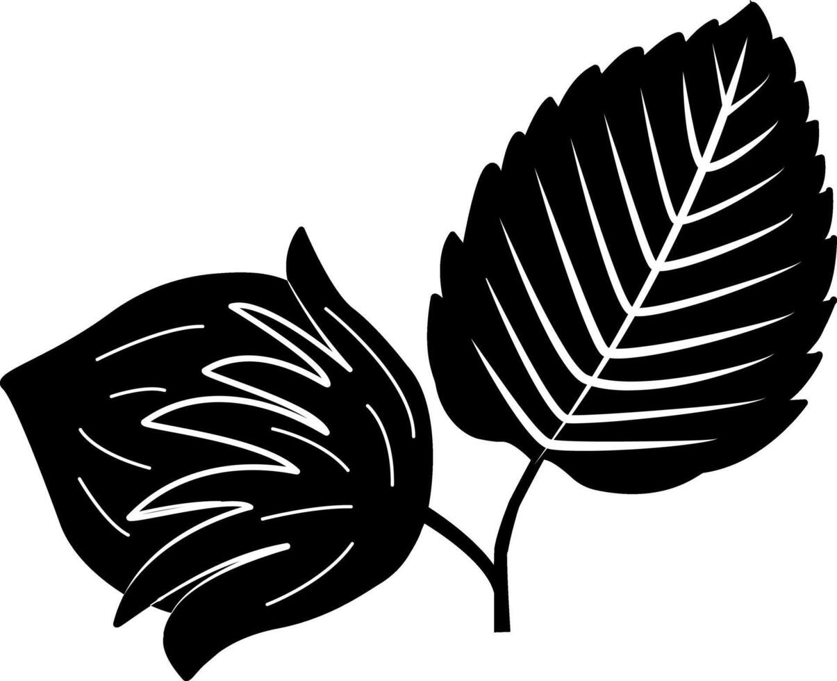 Illustration of a hazelnut on a black background. Hazelnut icon with leaf. forest leaves vector