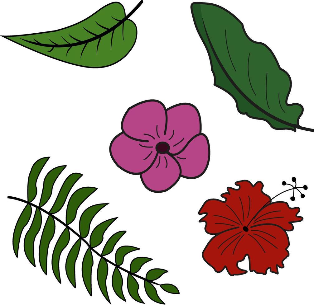 Tropical flowers and leaves. exotic plants. Illustration of beautiful hand-drawn tropical plants vector