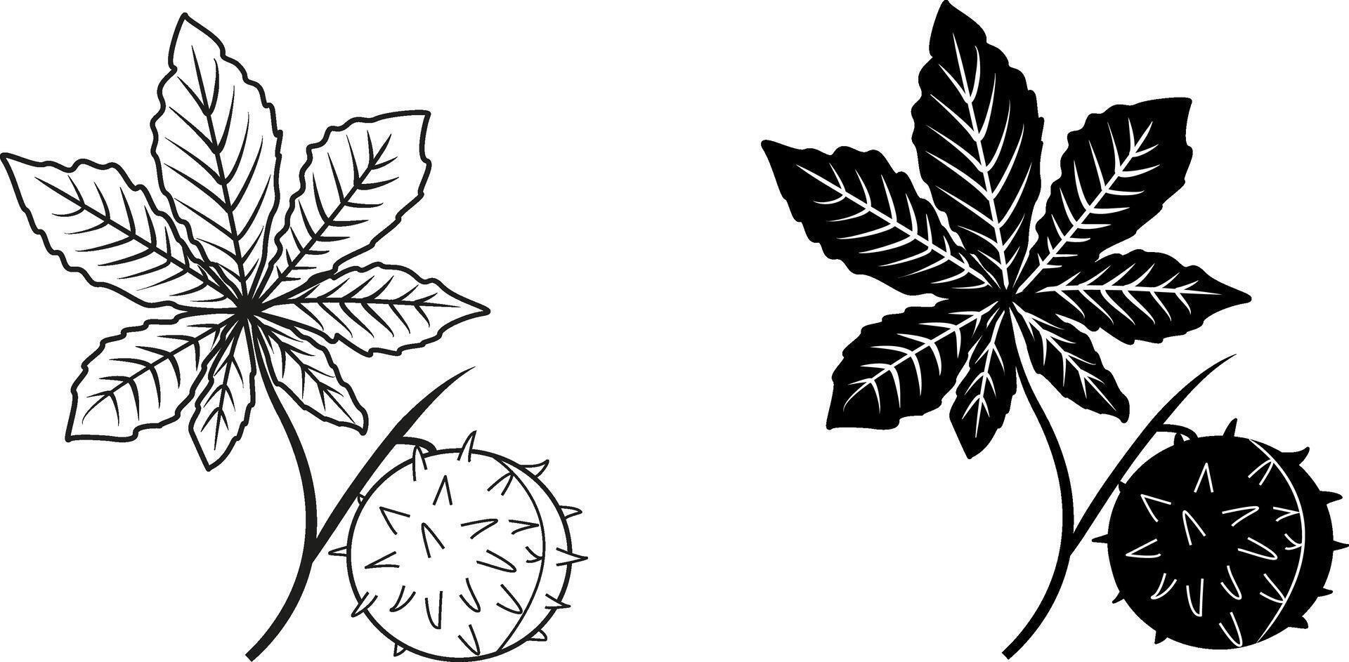 Set of chestnut leaves black and white. Illustration for coloring book. chestnut icon vector