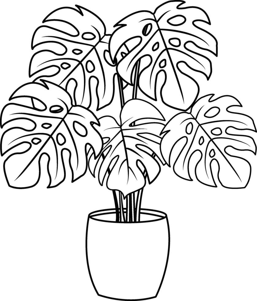 Monstera in a Flower Pot for Coloring. Tropical Plant Illustration for Office or Home vector