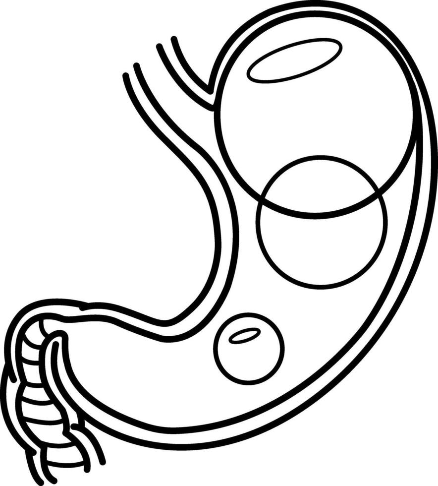 Bloating for Coloring Pages. Stomach disorder and disease, Gas problems. Illustration of Human Internal Organs. Anatomy and Medicine vector