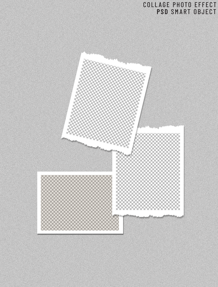 Template for a creative mood board psd