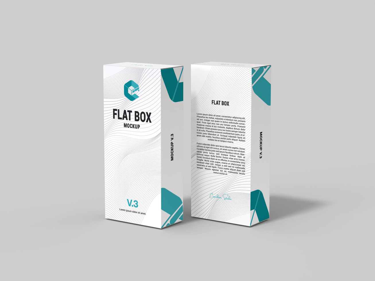Realistic Square Flat Rectangle Box for Any Product Mockup for Packaging Design Mock Up psd