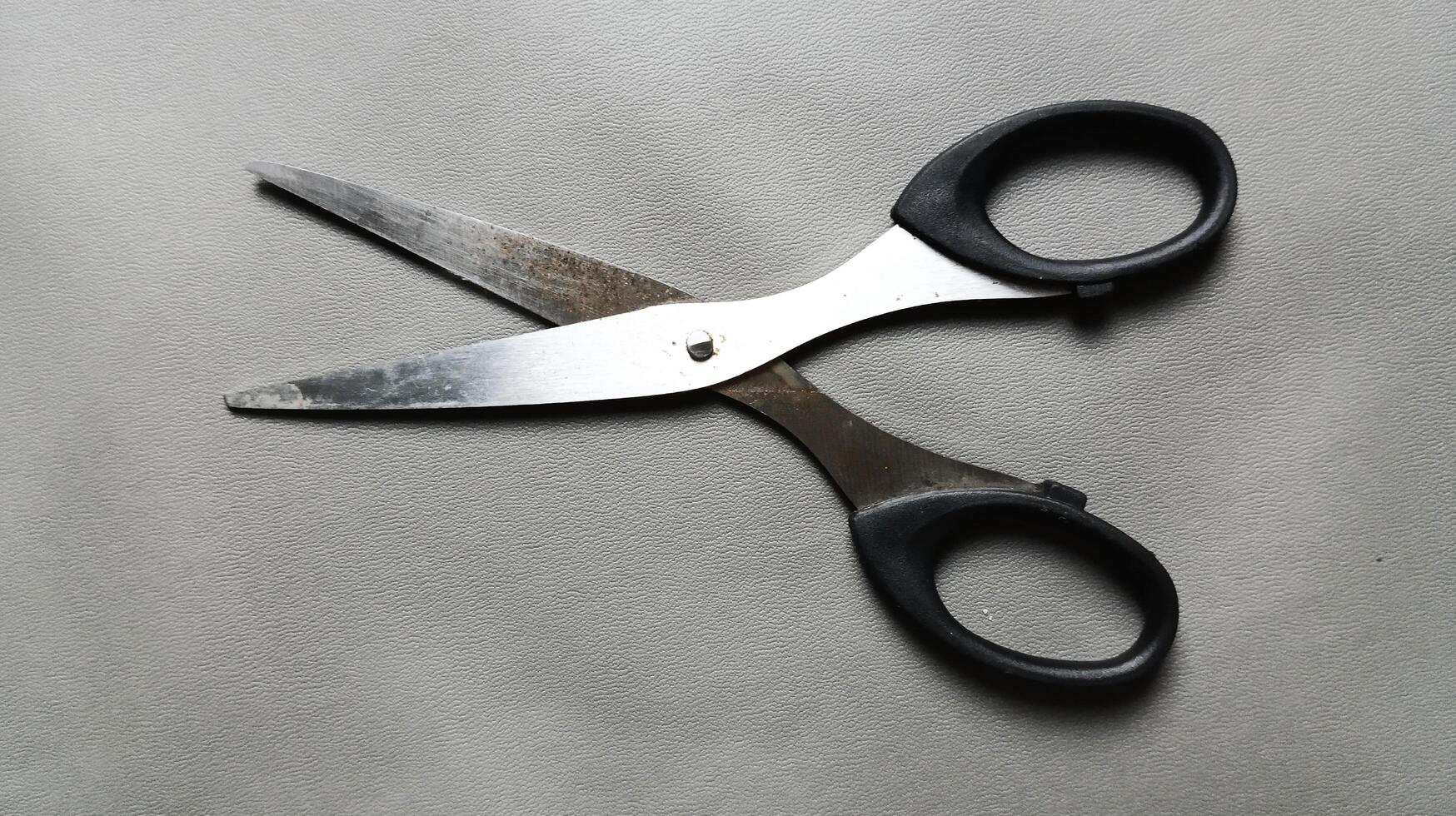 Scissors on a gray background. Black scissors. photo