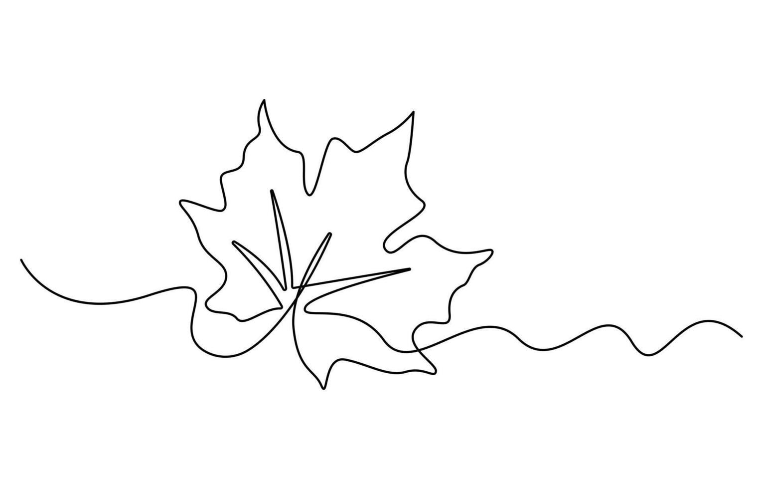One line drawing Maple leaf vector