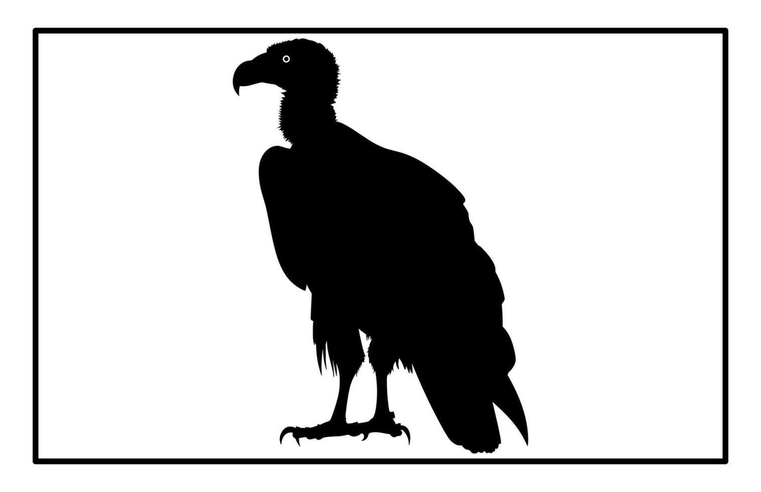 Silhouette of Vulture Bird - Wildlife Nature Illustration vector