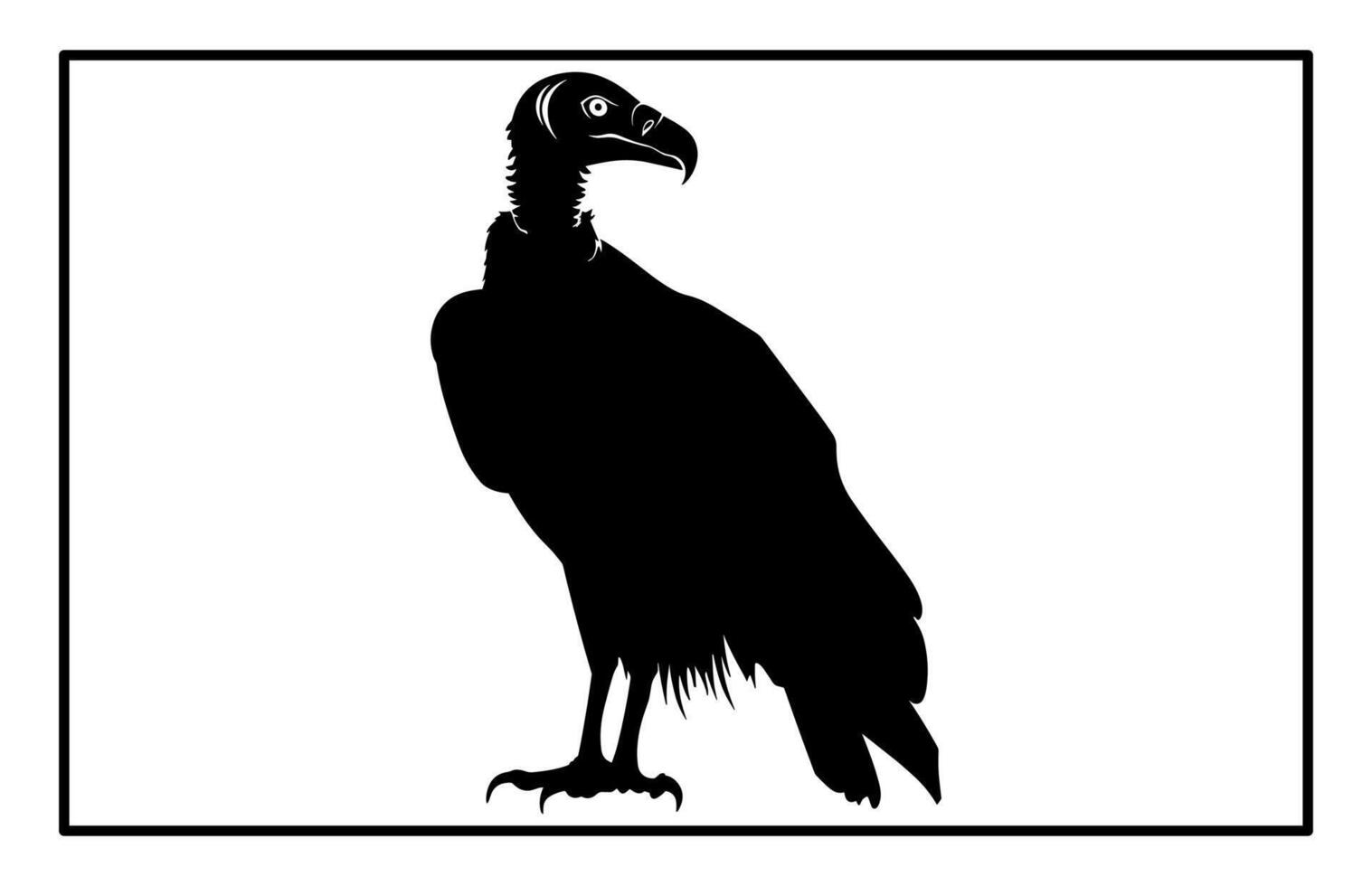 Silhouette of Vulture - Scavenger Bird Illustration and Clipart vector
