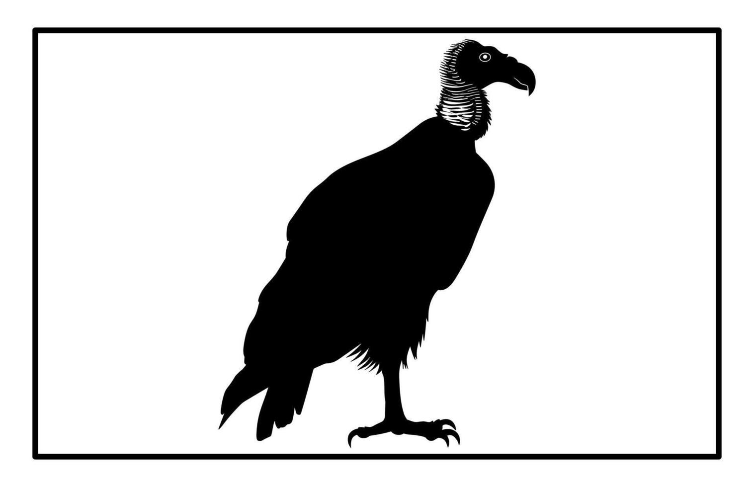 Vulture Silhouette - Scavenger Bird Wildlife Illustration vector