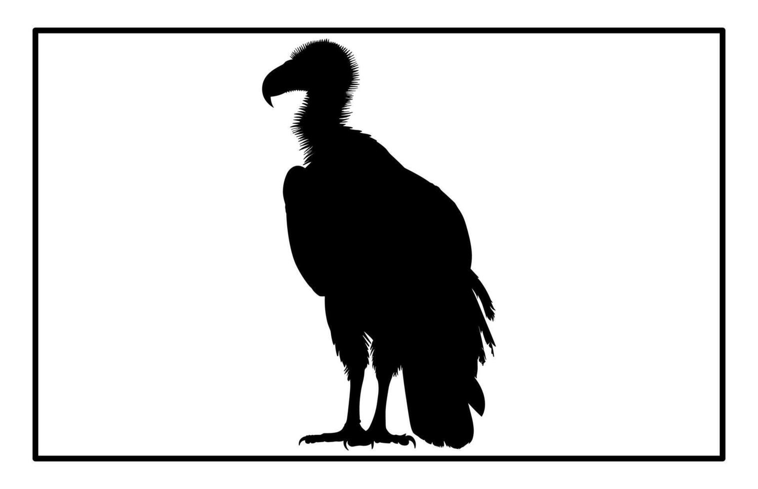 Vulture Bird Silhouette - Wildlife and Nature Illustration vector