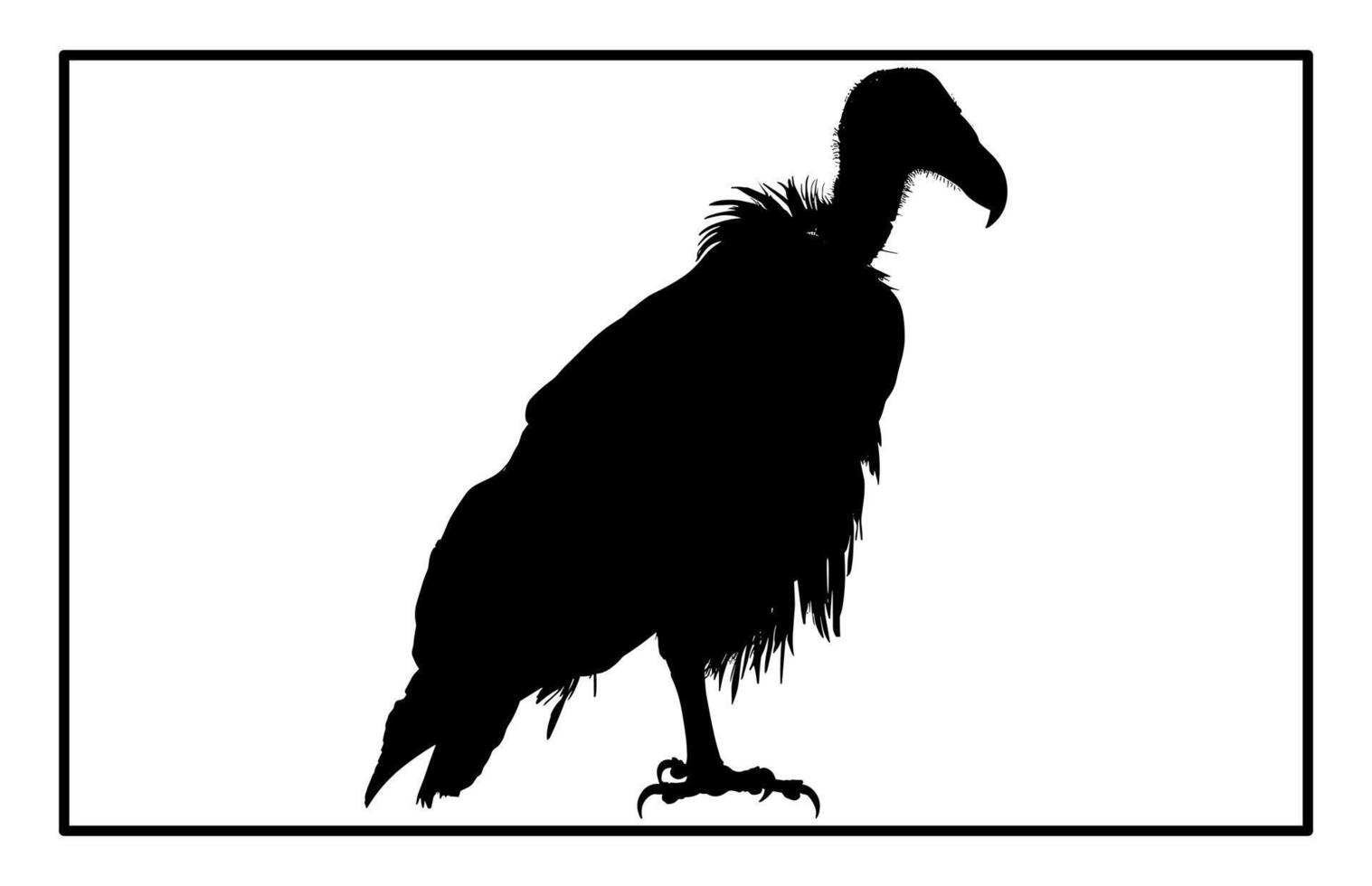 Wildlife Vulture Silhouette - Scavenger Bird Clipart Design vector