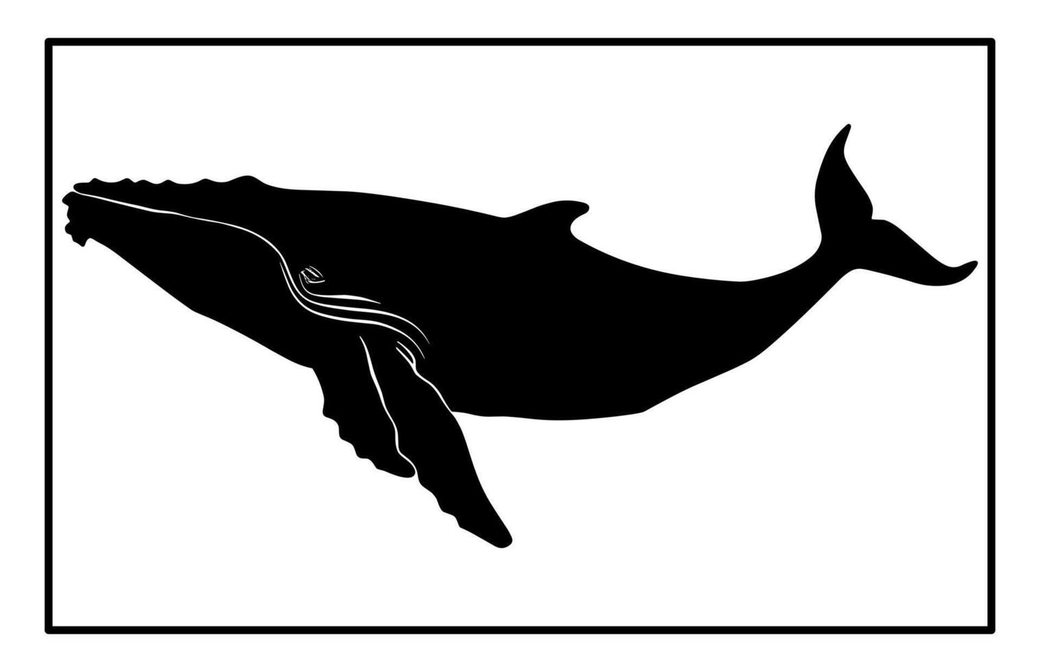 Whale Silhouette - Ocean Wildlife Illustration and Marine Animal Clipart vector