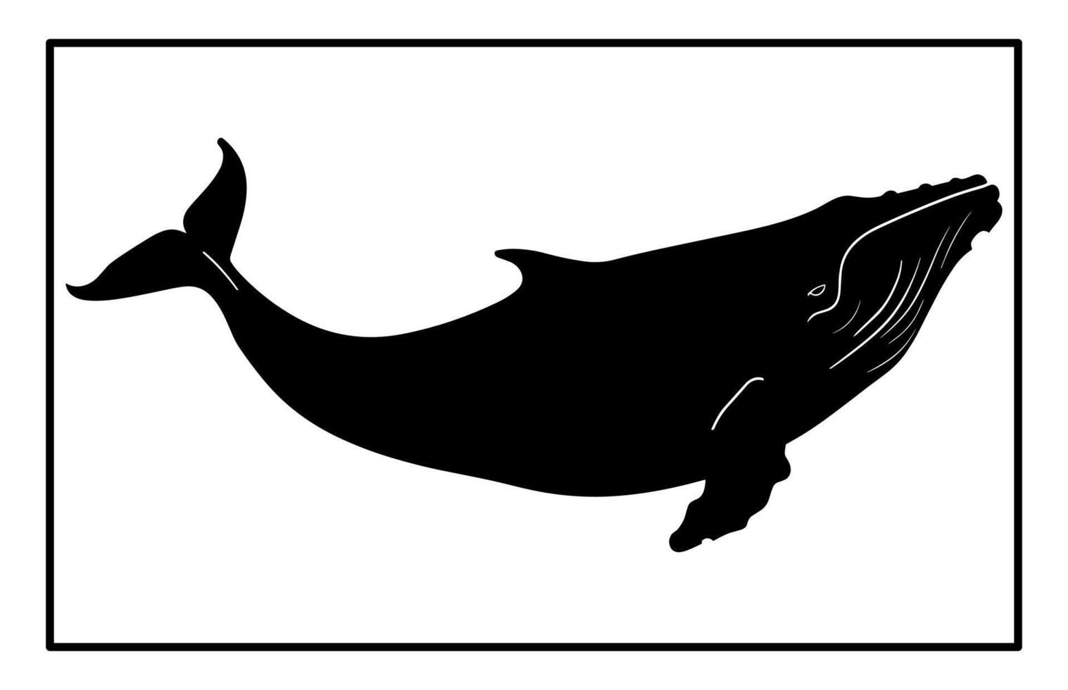 Whale Silhouette - Ocean Conservation and Wildlife Illustration vector