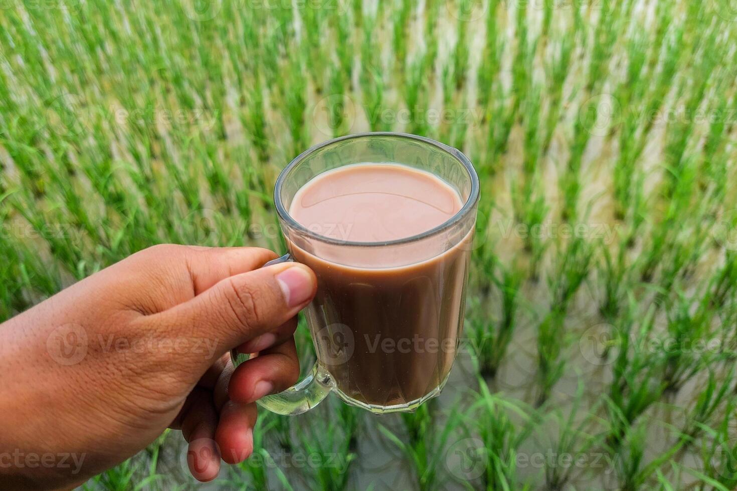 Chocolate milk in a glass is held above the rice fields photo