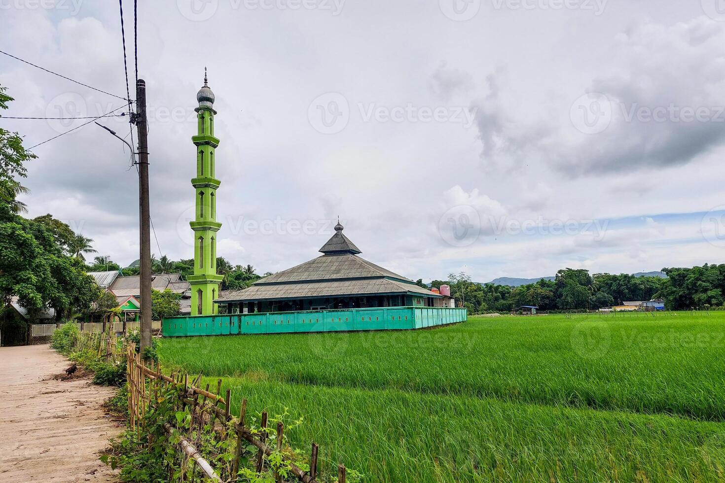 A mosque on the edge of rice fields in the countryside photo
