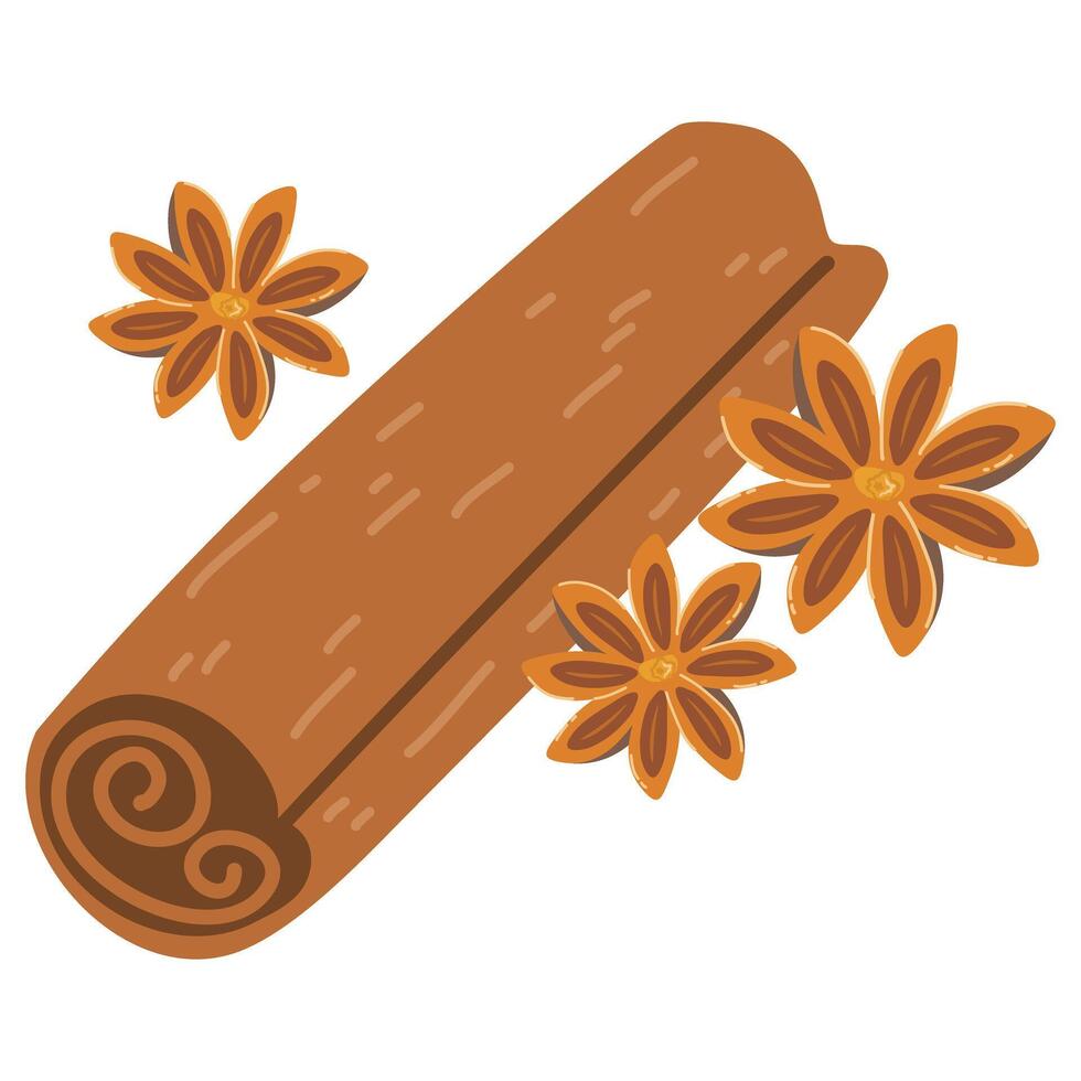 Cinnamon Sticks and Star Anise vector