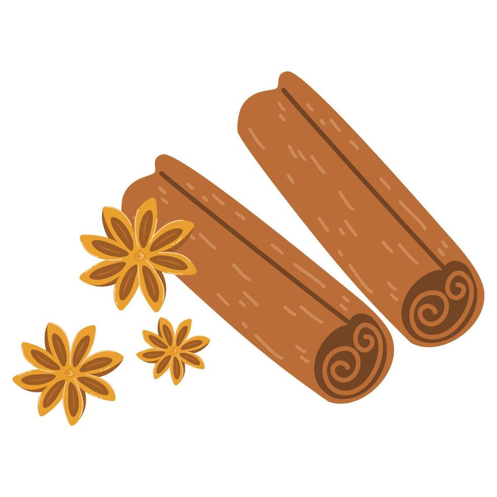 star anise and cinnamon sticks herbs illustration vector