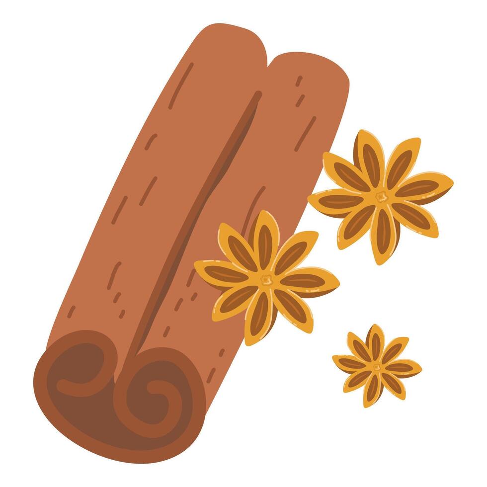 Some Aromatic Cinnamon with Star Anise vector