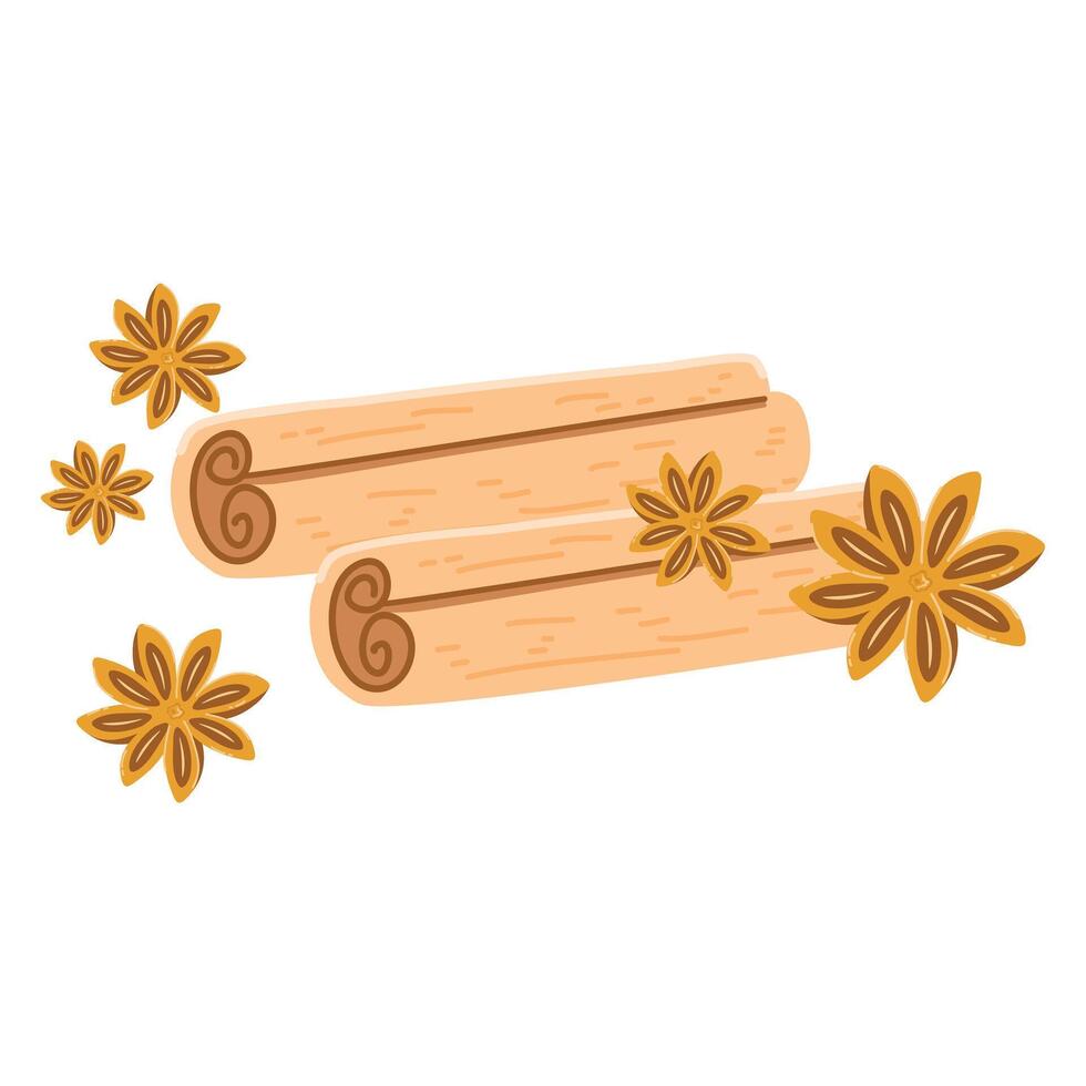 cinnamon sticks and star anise herbs vector