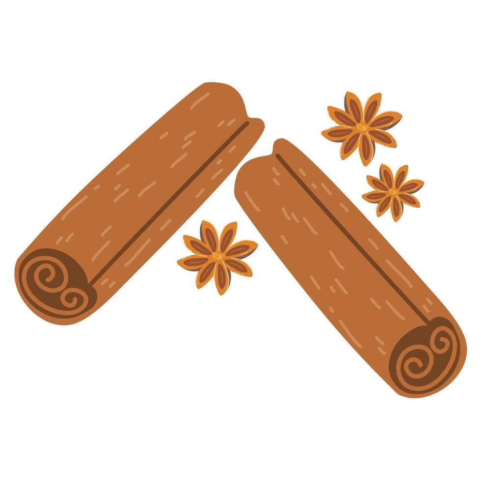 star anise and cinnamon sticks herbs vector