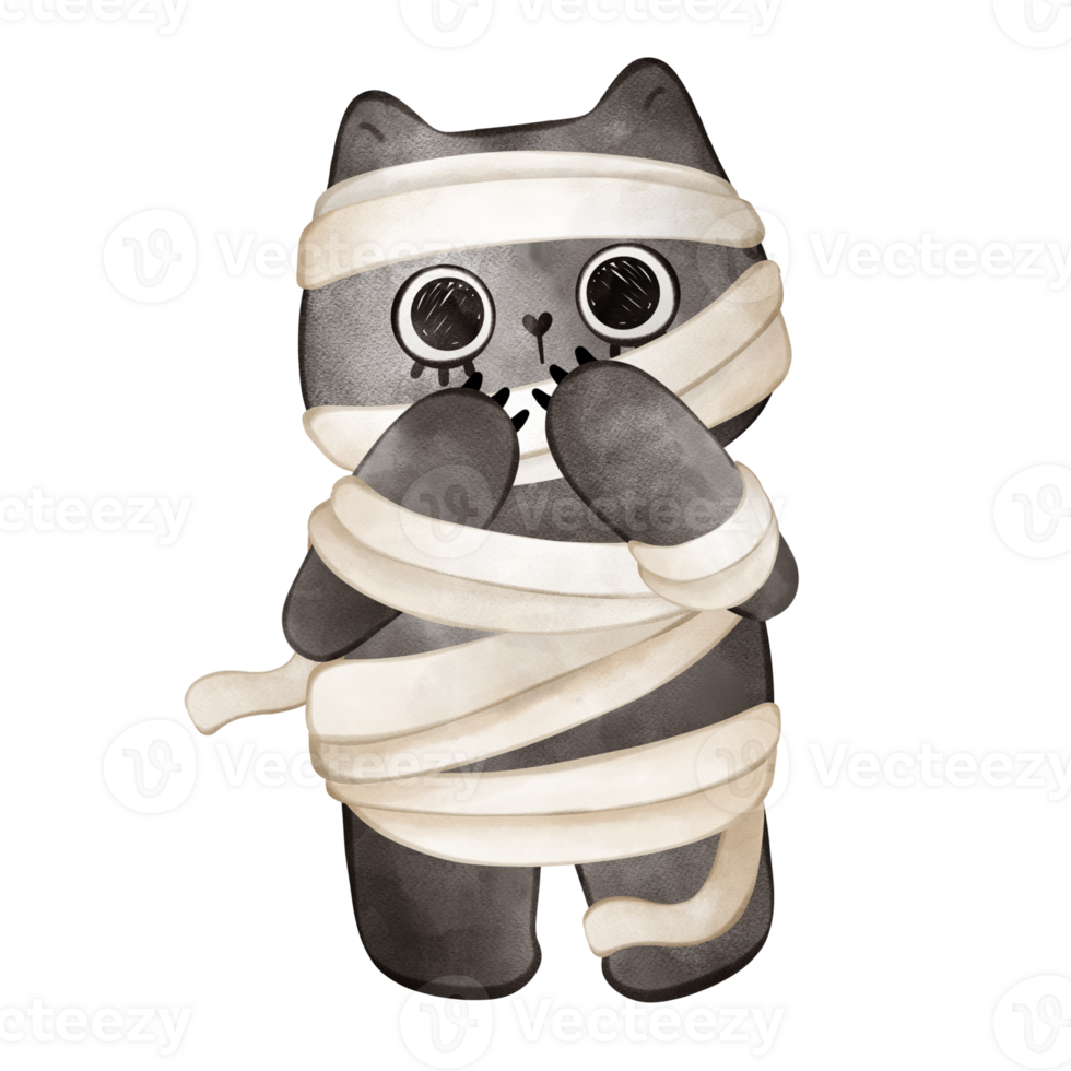 The cutest little mummy cat png