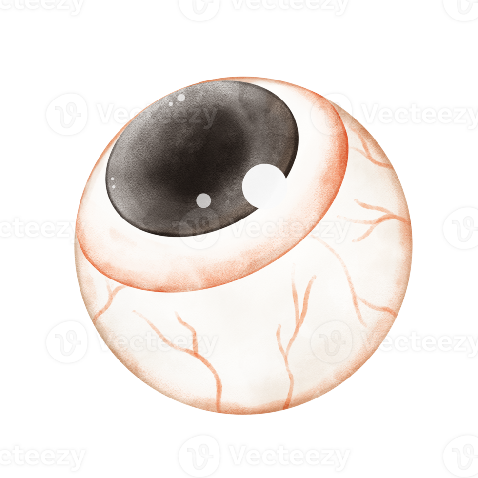 Halloween illustration of an eyeball png