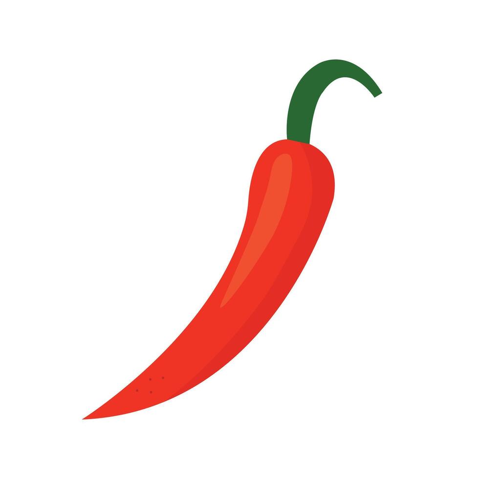 Flat isolated illustration of a red chili pepper with curved green stem. vector