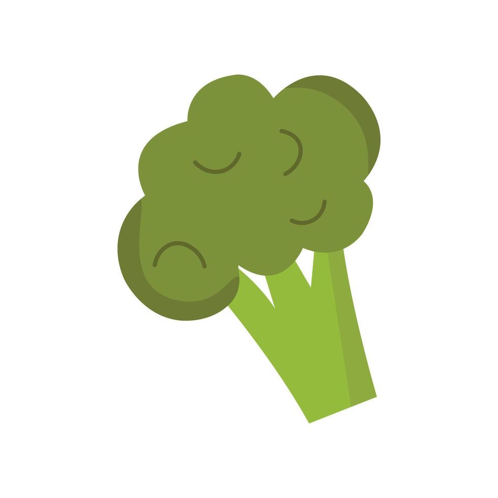 illustration of green broccoli floret with a thick stalk and rounded top vector
