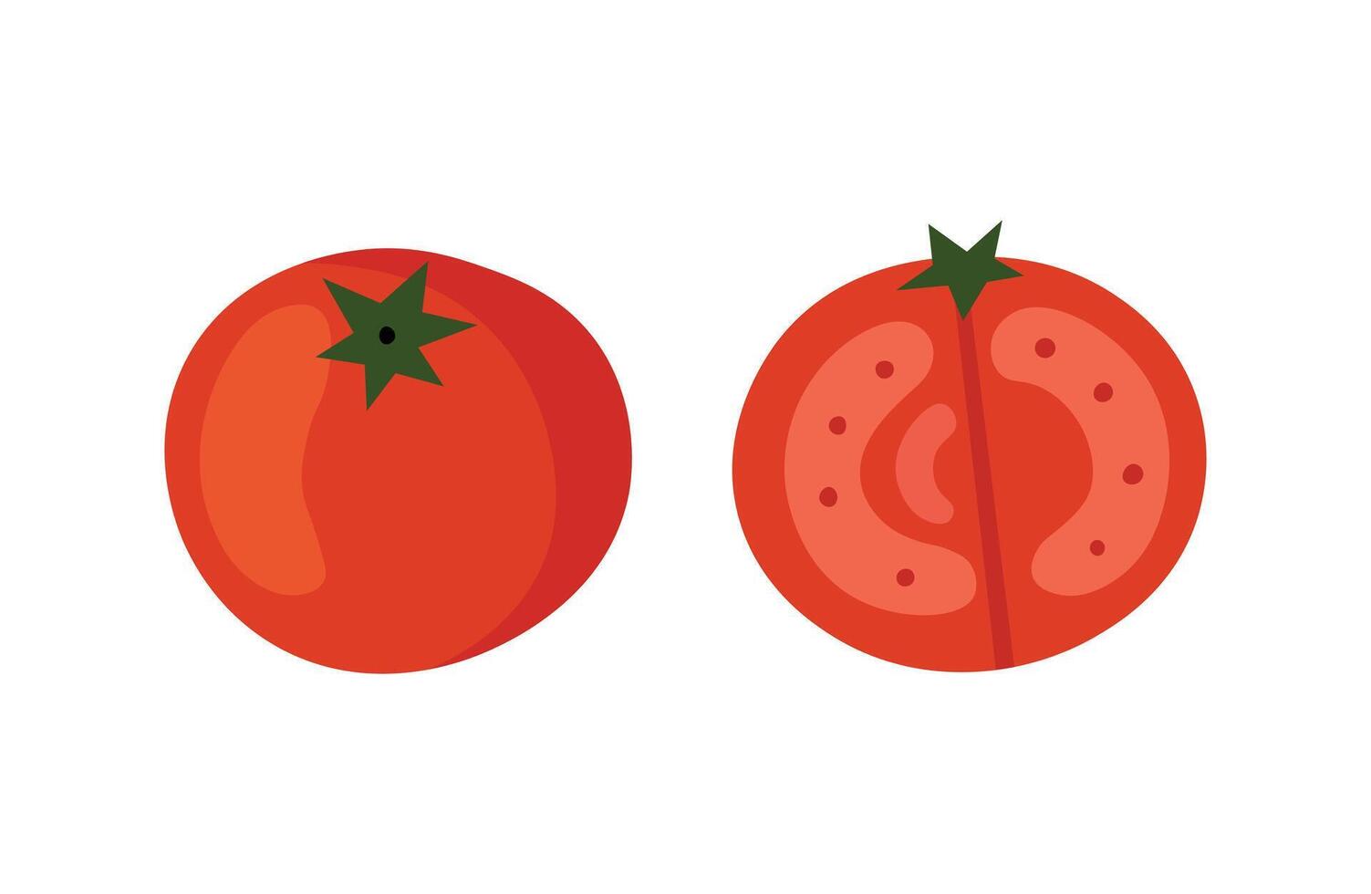 illustration of whole and sliced tomato with seeds simple doodle style. vector