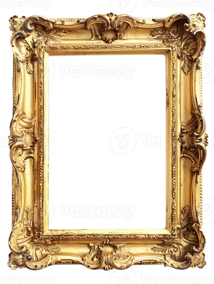 Gilded Antique Photo Frame on Transparent Background png