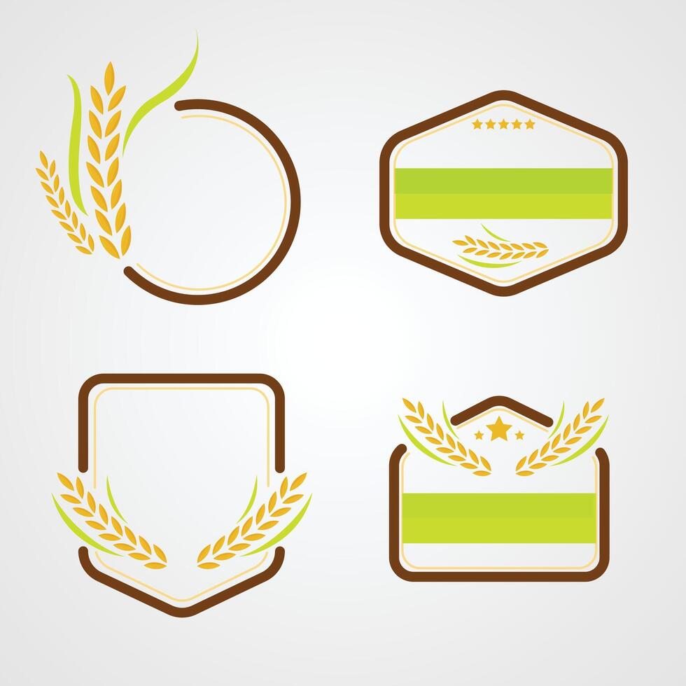 Rice Wheat cereal border label frame premium flat color illustration design vector
